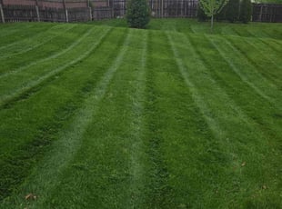 Charles P.'s Grass Cutting service result
