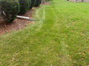 Leaf Removal by John Rawlings for Jess F. in Milwaukee, WI