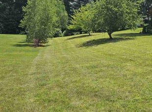Susan D.'s Lawn Care service result