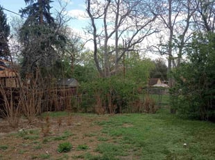 Cleanups by Alley Parker for Kathy M. in Denver, CO