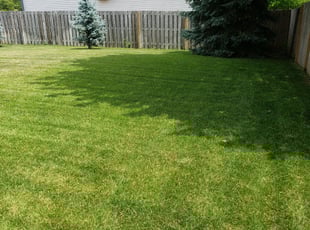 Kurt W.'s Lawn Maintenance service result