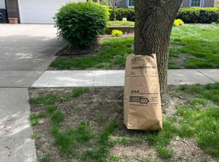 Leaf Removal by Trevor Ingram for Robyn B. in Johnston, IA