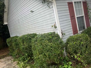 Bush Trimming by Cartouche Legrande Jr for Tristan s. in High Point, NC