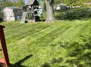 Leaf Removal by Juan Reynoso for Tami C. in Eastlake, OH