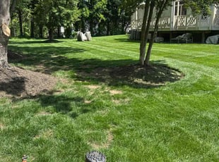 Joshua M.'s Lawn Maintenance service result