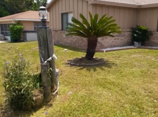 Bush Trimming by James Lagos for Maria V. in Deltona, FL