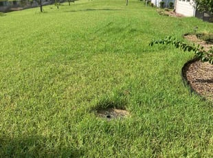 Samantha M.'s Lawn Mowing Service service result
