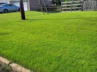 Frances A.'s Lawn Maintenance service result