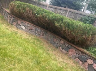 Bush Trimming by Kevin Ojeda Munoz for Jared C. in Parker, CO