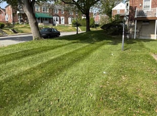 Linda J.'s Lawn Care service result