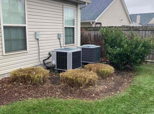 Bush Trimming by Joel Laumas for Pam L. in Lexington, KY