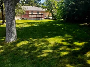 Crystal K.'s Lawn Care service result
