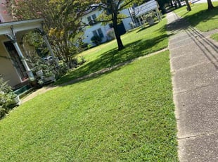 Nancy I.'s Lawn Service service result