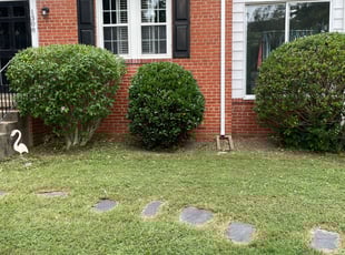 Bush Trimming by Zack Salmon for Brandie M. in Richmond, VA