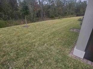 Carlyle T.'s Lawn Care service result