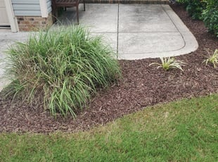 Weeding by Michael Oquendo for Anastasia C. in Wendell, NC