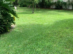 Yannick G.'s Lawn Mowing service result