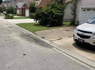 Bush Trimming by Herschell Bradley for Ryan L. in Tallahassee, FL