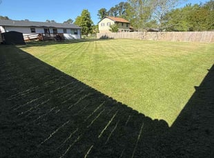 Denise M.'s Lawn Service service result
