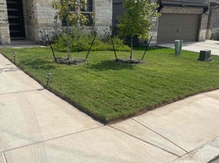 Gabrielle G.'s Lawn Care service result