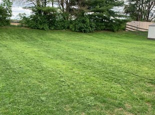 Kenny B.'s Lawn Service service result