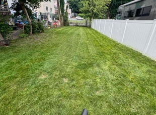 Cortez B.'s Lawn Mowing service result