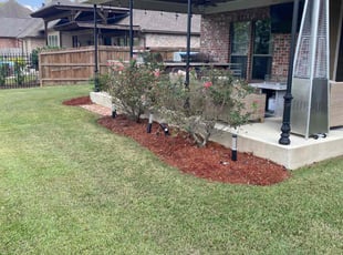 Weeding by Darynnette Roldan for Hedrick W. in Baton Rouge, LA