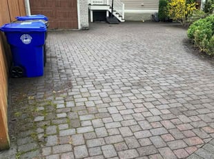 Leaf Removal by Jonathan Costa for Shai B. in Brookline, MA