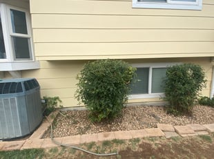 Bush Trimming by Jesse Nunez for Amber W. in Aurora, CO
