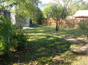 Leaf Removal by Bradley Wilson for Tony B. in Cleburne, TX