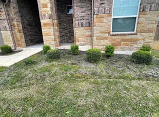 Bush Trimming by Erik de JesΓΊs Prado Sanchez for David P. in Leander, TX