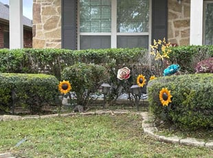 Bush Trimming by Joshua Coleman for Paul B. in Keller, TX
