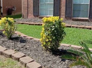 Bush Trimming by Alexis Perez for Nicholas N. in Cypress, TX