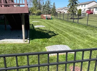 Jessica M.'s Lawn Mowing service result