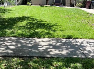 Albert C.'s Lawn Care service result