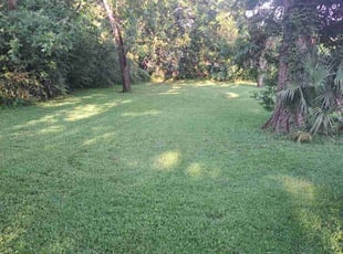 Kayla R.'s Lawn Mowing service result