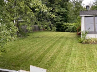 Rubie M.'s Lawn Care service result