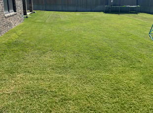 Donna C.'s Yard Cutting service result
