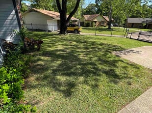 Patrick T.'s Yard Cutting service result