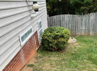 Bush Trimming by Cartouche Legrande Jr for Matt N. in Clemmons, NC