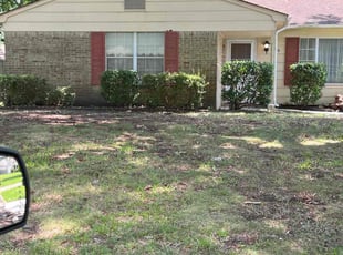 Bush Trimming by Valera Swearngin for Mark G. in Virginia Beach, VA