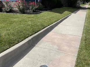 Ortagus F.'s Yard Cutting service result