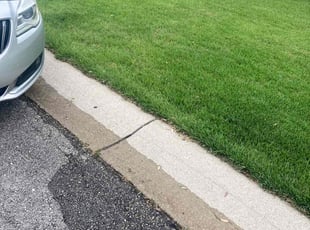 Susan K.'s Lawn Service service result