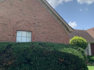 Bush Trimming by DeShaun Myers for Cheryl A. in Memphis, TN