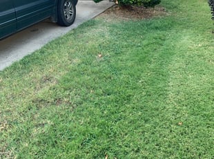Bush Trimming by Danny Cavazos for Tatum F. in Fort Worth, TX