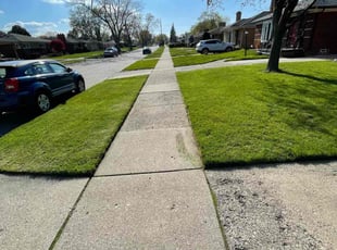 Robert H.'s Lawn Service service result