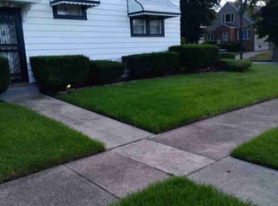 Shaun K.'s Yard Cutting service result