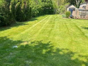 Gary M.'s Lawn Service service result