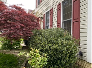 Bush Trimming by Kamrin Jackson for Christopher B. in Stafford, VA
