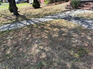 Leaf Removal by Steven Moreira for Markell S. in Chesapeake, VA